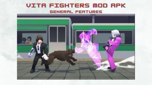 General Features of Vita Fighters apk mod